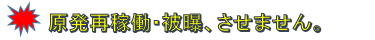 原発再稼動させない