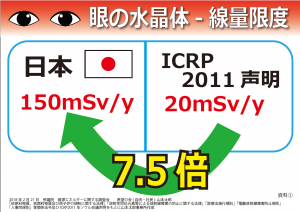 資料①　眼の水晶体