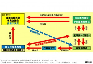 資料⑪